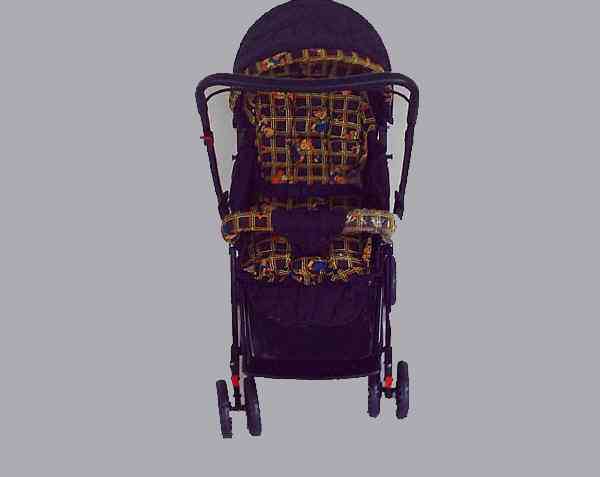 Babystroller1.jpg (45971 bytes)